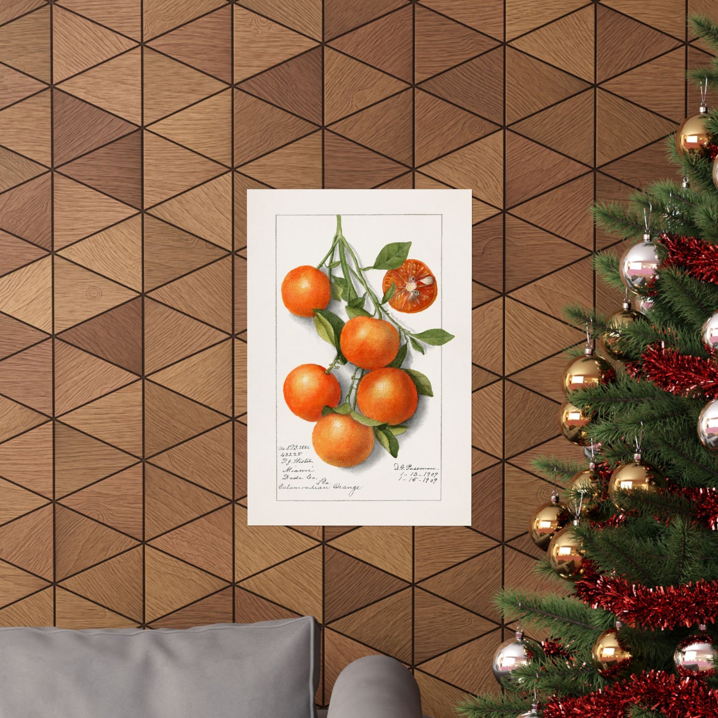 Vintage Oranges Poster Print