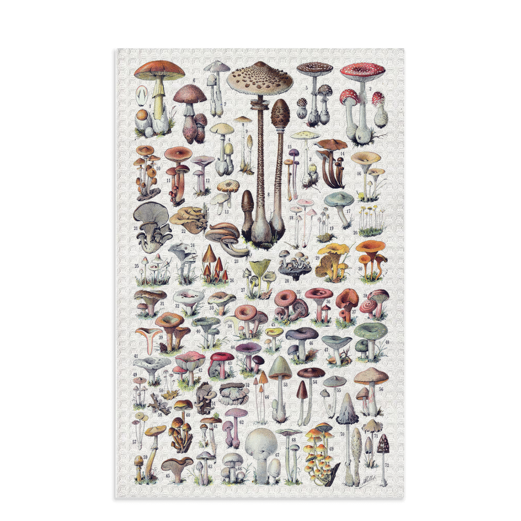 Cute Vintage Mushroom Dish Towel Hostess Gift