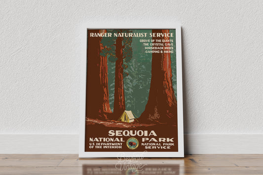 a poster of a tent in a redwood forest