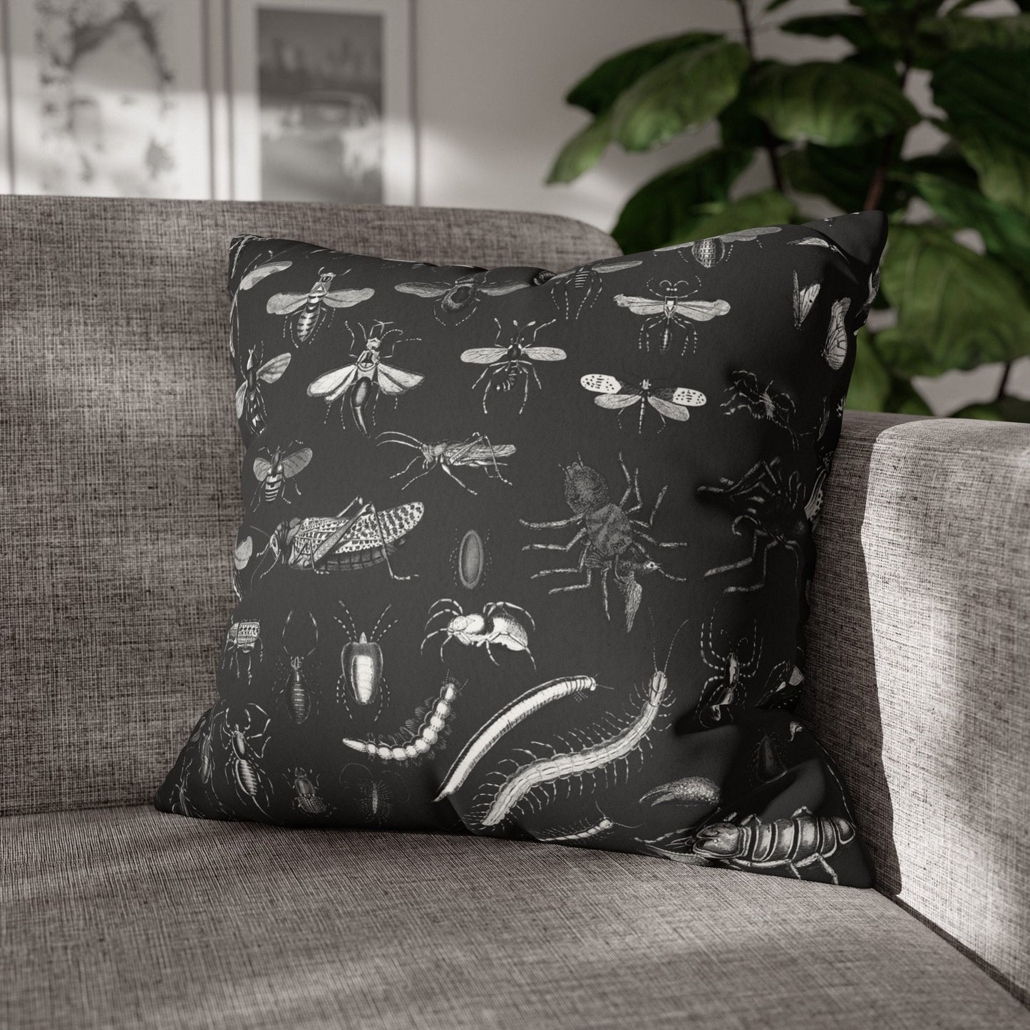 Black Moth & Insect Pillow Cover